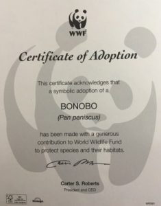 картинка сертификата WWF студии БОНОБО